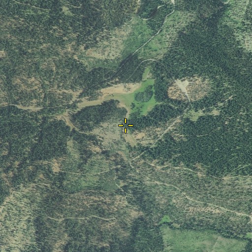 Aerial/Satellite Image of Belshaw Meadows, OR