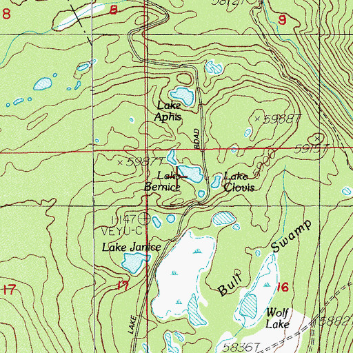 Topographic Map of Lake Bernice, OR
