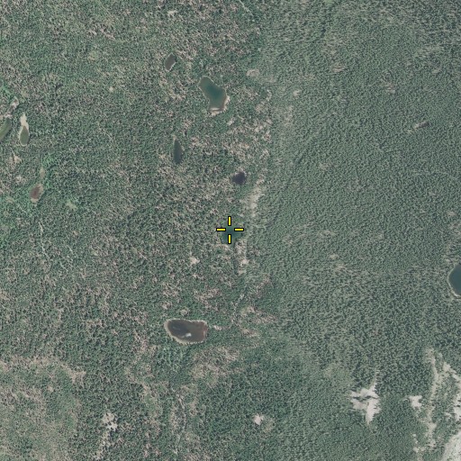 Aerial/Satellite Image of Bert Lake, OR