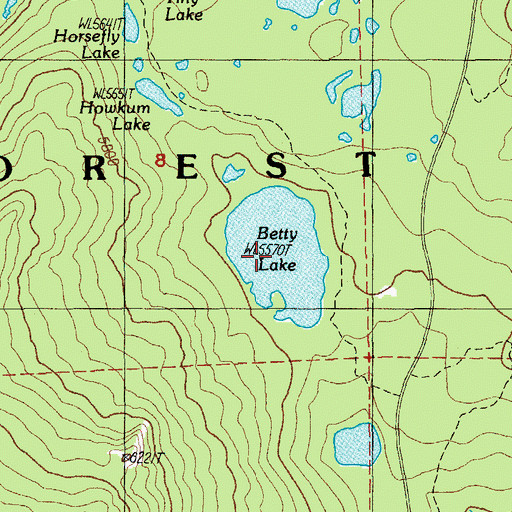 Topographic Map of Betty Lake, OR