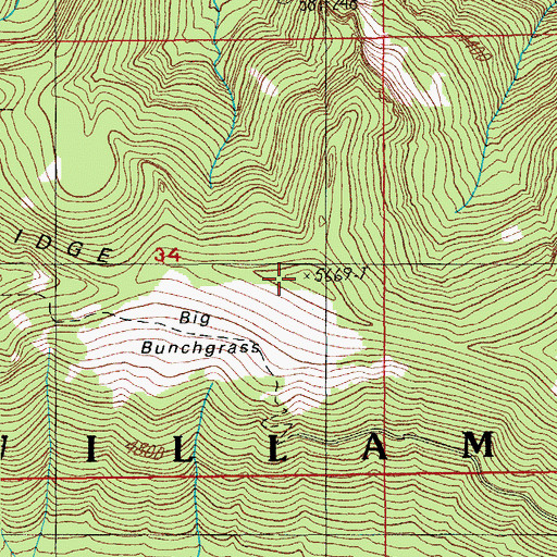 Topographic Map of Big Bunchgrass, OR