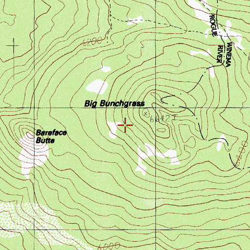 Topographic Map of Big Bunchgrass, OR