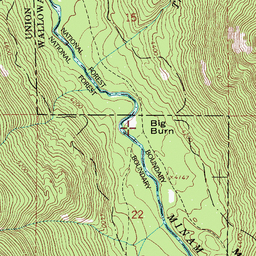 Topographic Map of Big Burn, OR