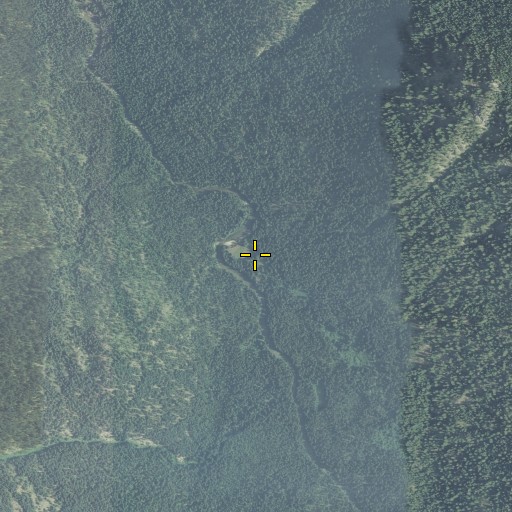 Aerial/Satellite Image of Big Burn, OR