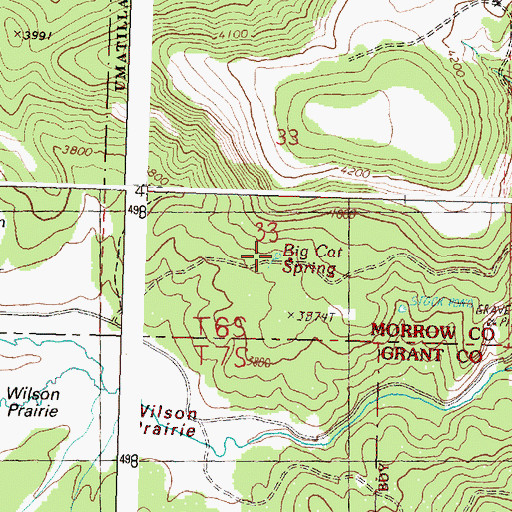 Topographic Map of Big Cat Spring, OR