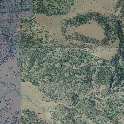 Aerial/Satellite Image of Big Cat Spring, OR