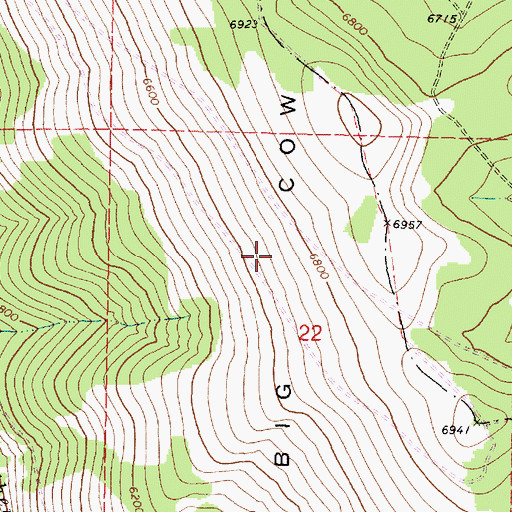 Topographic Map of Big Cow Burn, OR