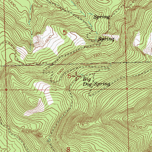 Topographic Map of Big Dog Spring, OR