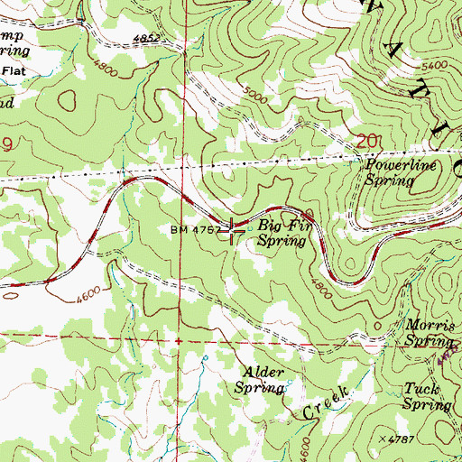 Topographic Map of Big Fir Spring, OR