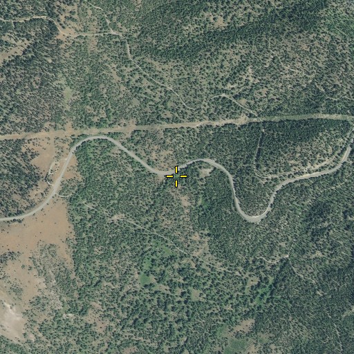 Aerial/Satellite Image of Big Fir Spring, OR