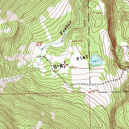 Topographic Map of Big Flat, OR
