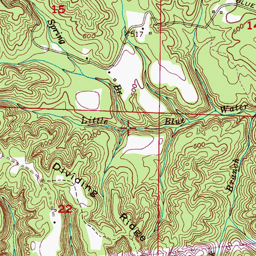 Topographic Map of Bee Spring Branch, AL