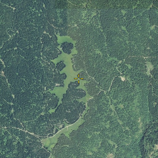 Aerial/Satellite Image of Big Meadows, OR