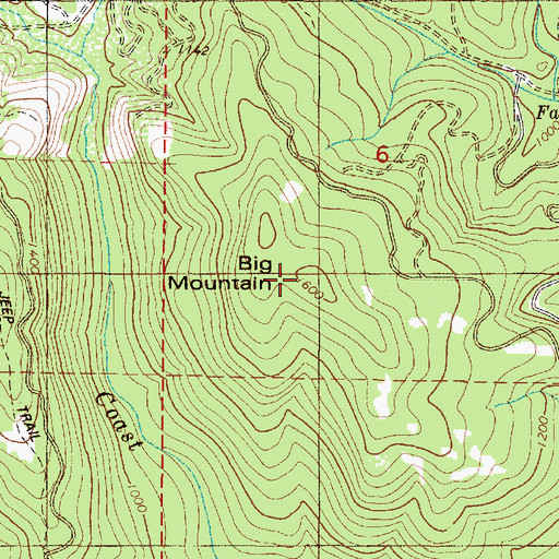 Topographic Map of Big Mountain, OR