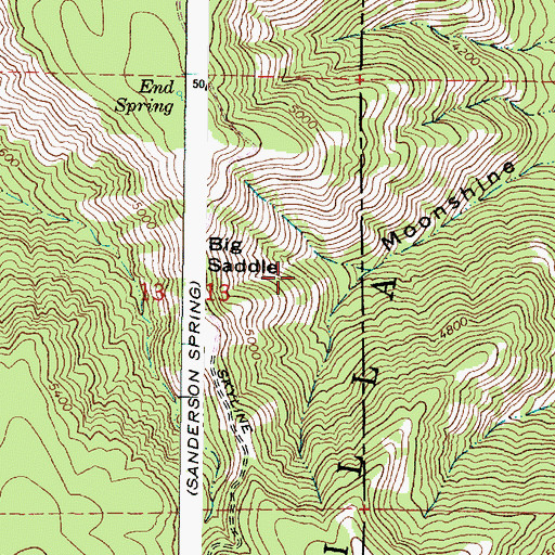 Topographic Map of Big Saddle, OR