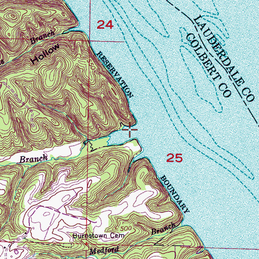 Topographic Map of Beech Branch, AL