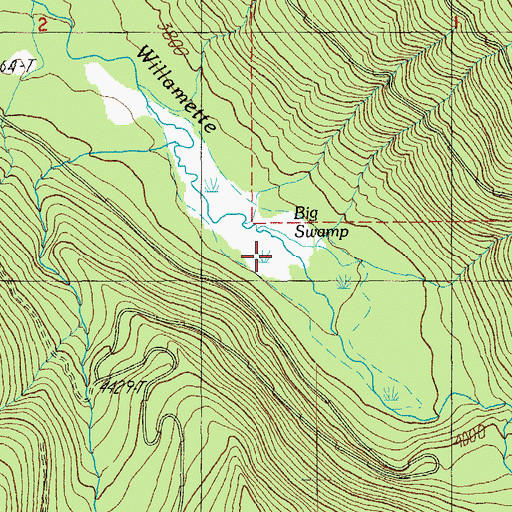 Topographic Map of Big Swamp, OR
