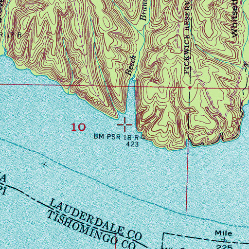 Topographic Map of Beech Branch, AL