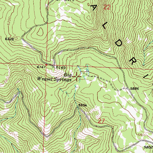 Topographic Map of Big Weasel Springs, OR