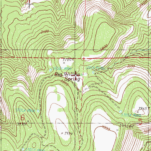 Topographic Map of Big Willow Spring, OR
