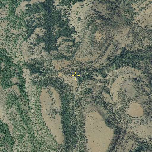 Aerial/Satellite Image of Big Willow Spring, OR