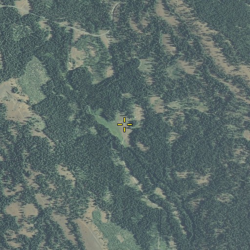 Aerial/Satellite Image of Billy Meadows, OR