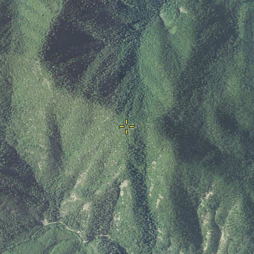 Aerial/Satellite Image of Billy Mountain, OR
