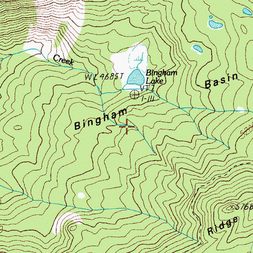 Topographic Map of Bingham Basin, OR