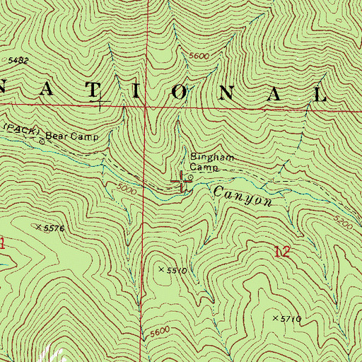 Topographic Map of Bingham Camp, OR