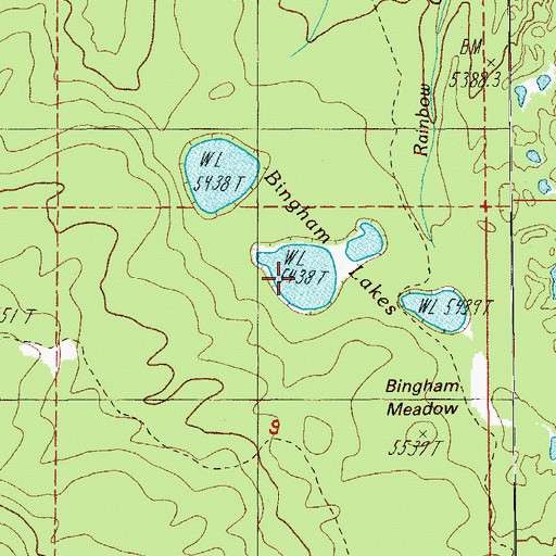 Topographic Map of Bingham Lakes, OR