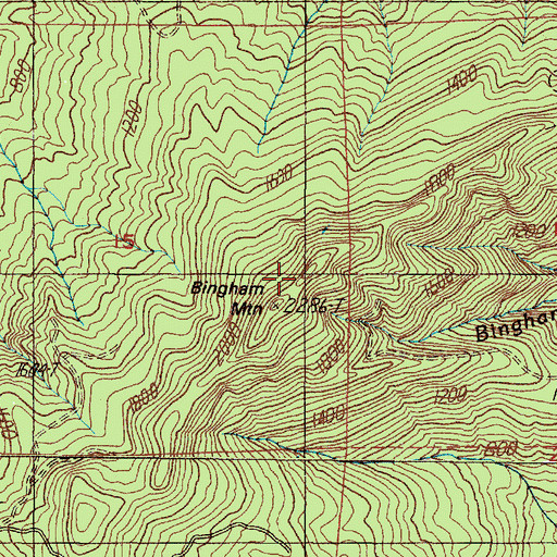Topographic Map of Bingham Mountain, OR