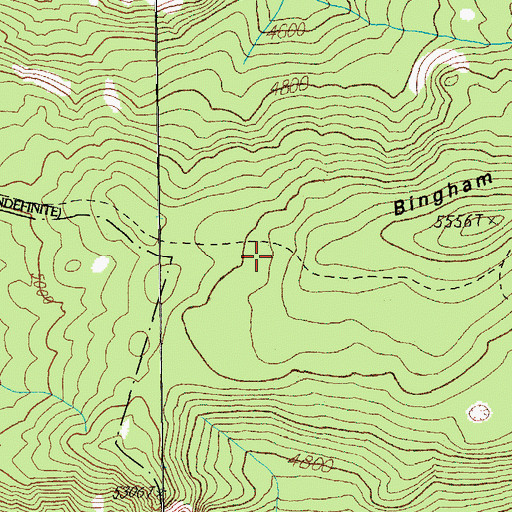 Topographic Map of Bingham Ridge Trail, OR
