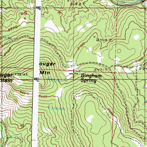 Topographic Map of Bingham Spring, OR