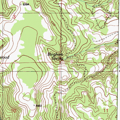 Topographic Map of Bingham Spring, OR