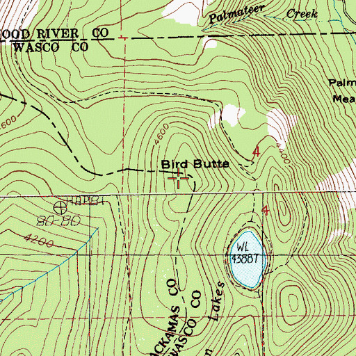 Topographic Map of Bird Butte, OR