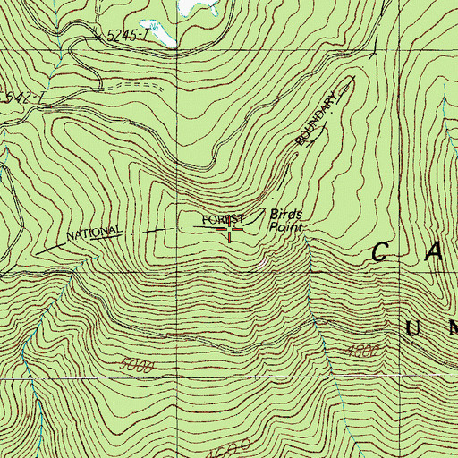 Topographic Map of Birds Point, OR