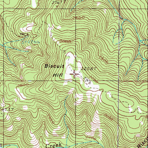 Topographic Map of Biscuit Hill, OR