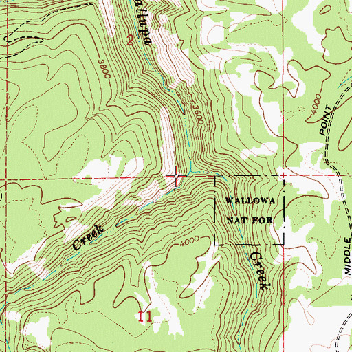 Topographic Map of Bishop Creek, OR