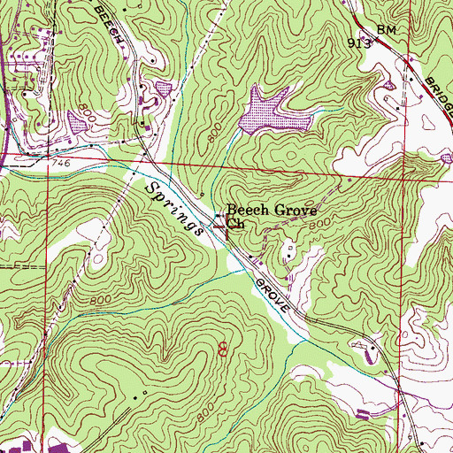 Topographic Map of Beech Grove Church, AL
