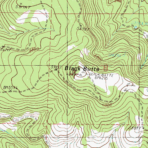 Topographic Map of Black Butte, OR