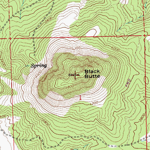 Topographic Map of Black Butte, OR