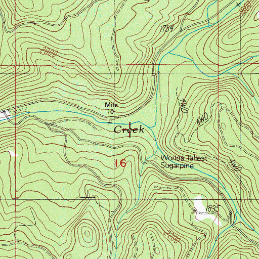 Topographic Map of Black Canyon Creek, OR