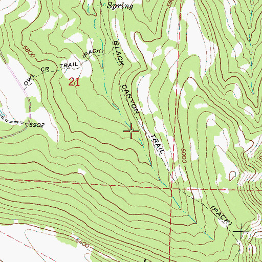 Topographic Map of Black Canyon Trail, OR