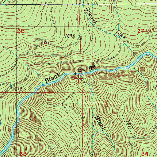Topographic Map of Black Creek, OR