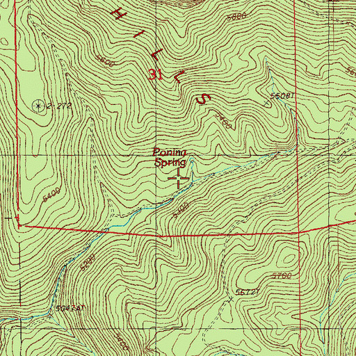 Topographic Map of Black Hills, OR