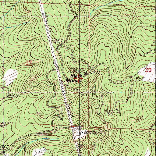 Topographic Map of Black Mound, OR
