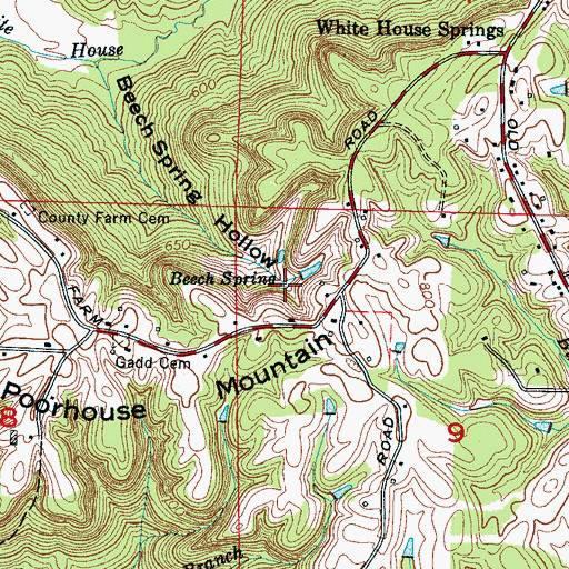 Topographic Map of Beech Spring, AL