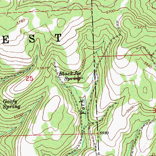 Topographic Map of Blackjoe Spring, OR