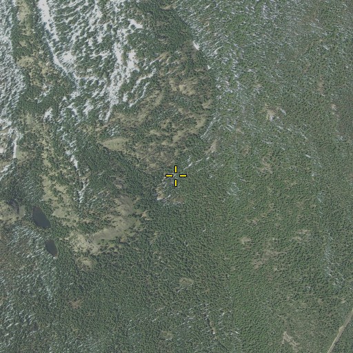 Aerial/Satellite Image of Blacktail Spring, OR