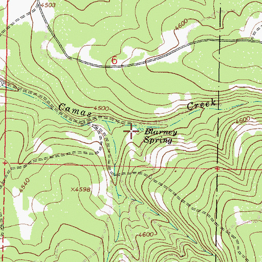 Topographic Map of Blarney Spring, OR